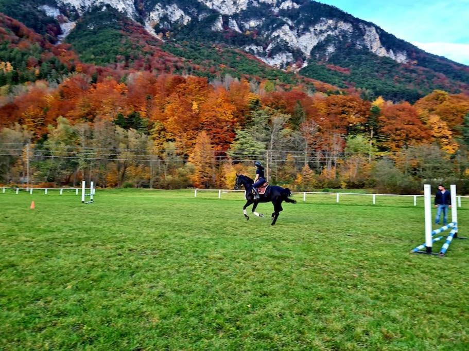 Cosy Family Apartment Reichenau Dış mekan fotoğraf