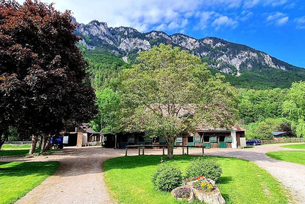 Cosy Family Apartment Reichenau Dış mekan fotoğraf